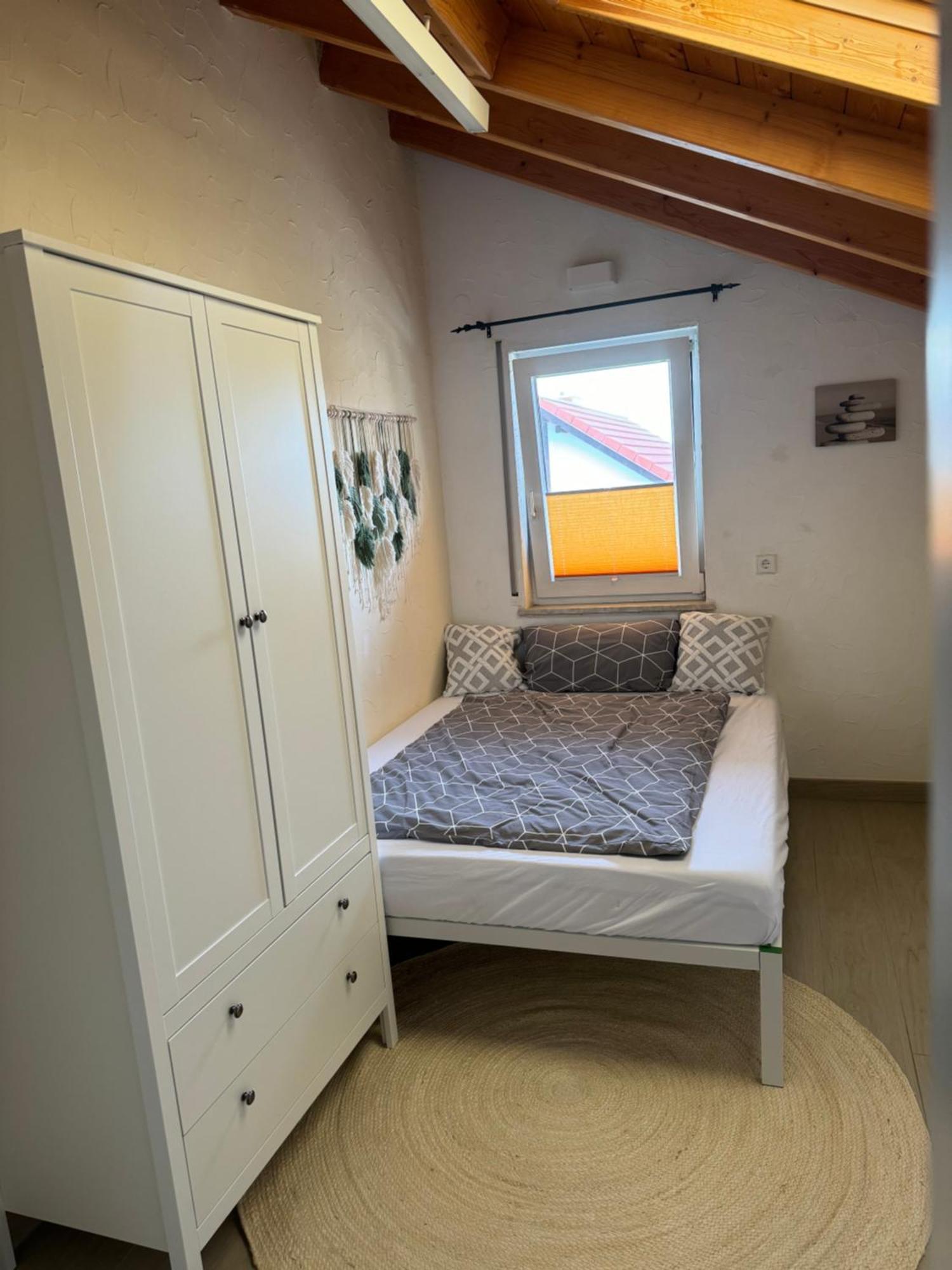 Spacy 3 Bedroom Plus Sleeping Couch Apartment Work&Travel Close To Heidelberg Dielheim المظهر الخارجي الصورة